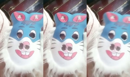 user734970494747's Stream - Jul 29, 2026, 11:38 PM