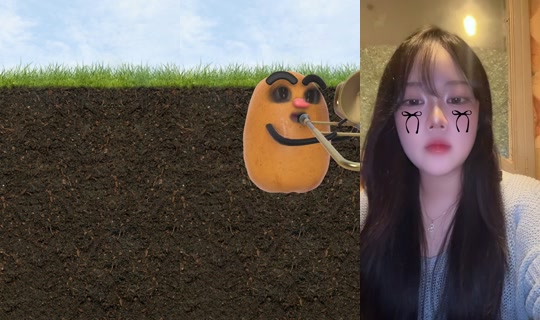 user7967481192674's Stream - Jul 29, 2026, 8:00 AM