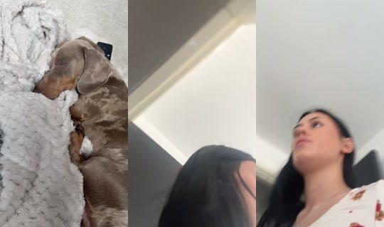 user_237796's Stream - Jul 30, 2026, 12:01 PM