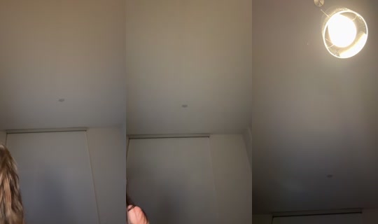 vanessaherr's Stream - Aug 1, 2026, 7:43 AM
