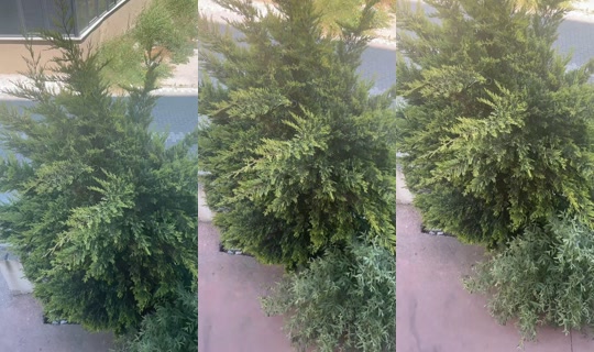 vartolu783's Stream - Aug 6, 2026, 10:28 AM