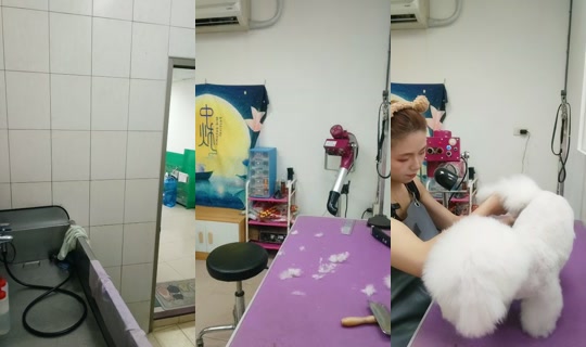 vickymichen's Stream - Jul 13, 2026, 5:40 AM