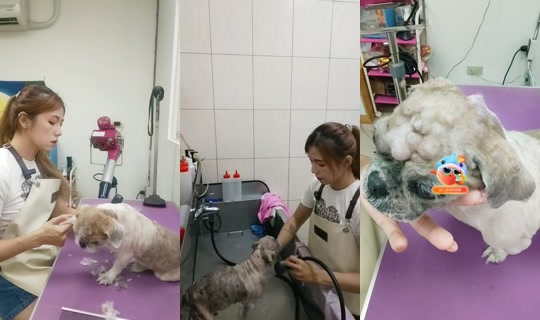 vickymichen's Stream - Jul 15, 2026, 5:34 AM