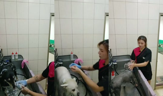 vickymichen's Stream - Jul 28, 2026, 5:59 AM