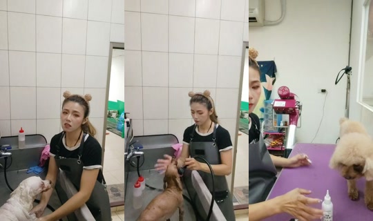 vickymichen's Stream - Jul 30, 2026, 5:50 AM