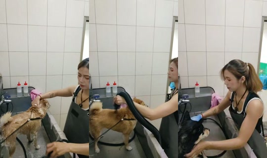 vickymichen's Stream - Aug 5, 2026, 5:51 AM