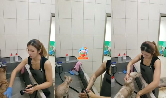 vickymichen's Stream - Aug 7, 2026, 5:49 AM