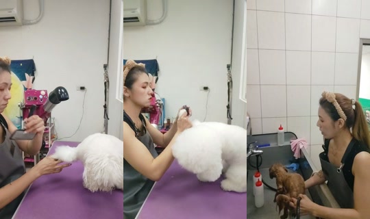 vickymichen's Stream - Aug 22, 2026, 8:09 AM