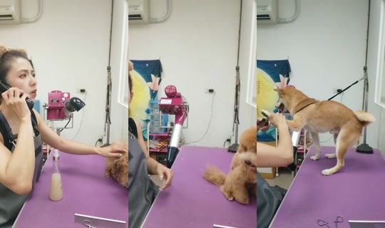 vickymichen's Stream - Aug 22, 2026, 8:45 AM