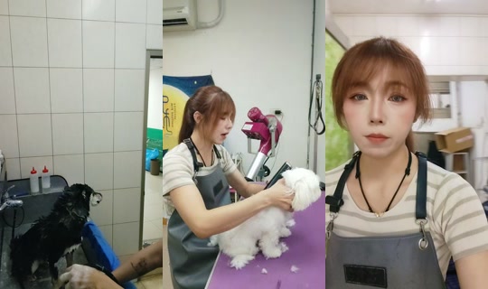 Stream di vickymichen - 20 ott 2026, 5:55