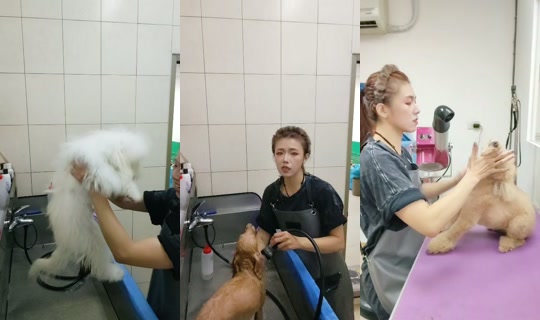vickymichen's Stream - Oct 24, 2026, 4:59 AM