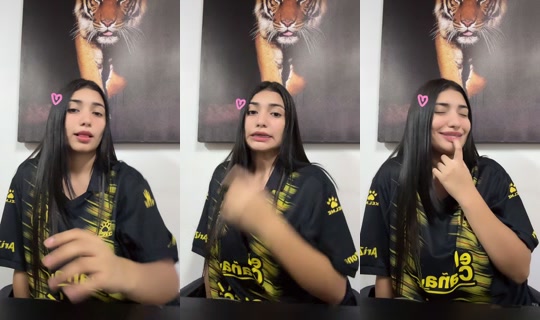 vxlentin.aa's Stream - Jul 30, 2026, 9:29 PM