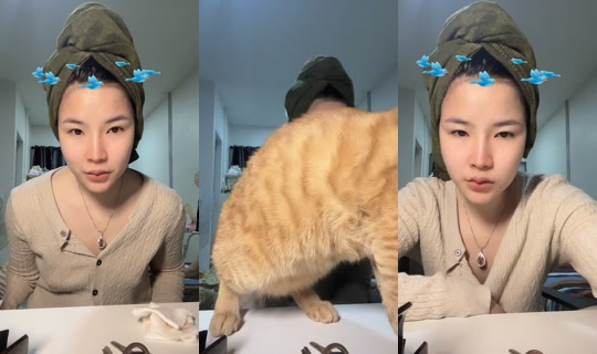 warawan13's Stream - Jul 11, 2026, 1:21 PM