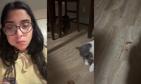weirdgirl924's Stream - Jul 18, 2026, 5:33 AM