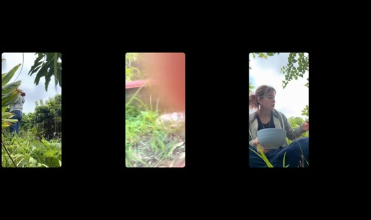 wlml671010's Stream - Jul 30, 2026, 4:11 AM
