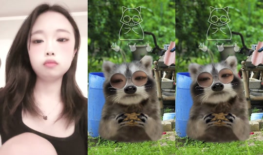 wse1342's Stream - Jul 19, 2026, 12:52 PM