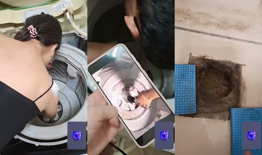 wwujunn's Stream - Aug 5, 2026, 9:06 AM