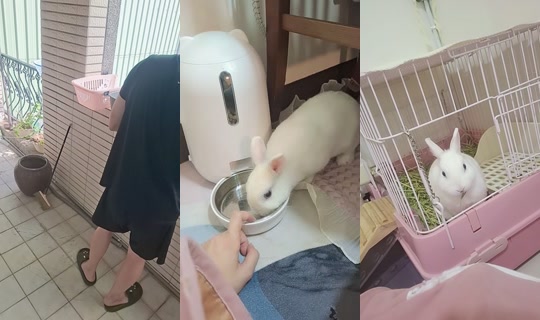 wwujunn's Stream - Oct 22, 2026, 4:35 AM