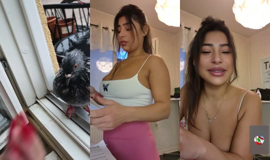 wwwveraaaa's Stream - Oct 8, 2026, 2:54 PM
