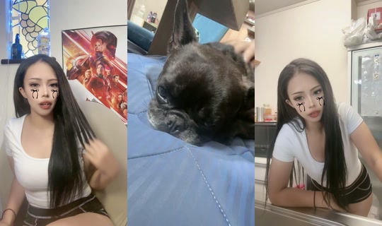 xiiwttv's Stream - Jul 22, 2026, 4:03 AM