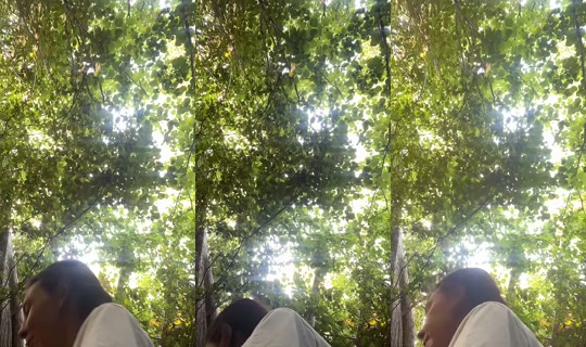 xo.ells_xo's Stream - Jul 11, 2026, 6:27 PM