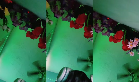 xoxo_diorrr's Stream - Jul 23, 2026, 3:55 PM
