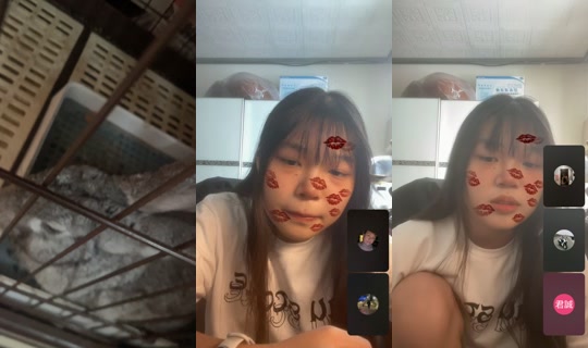 Stream ni xua.04_26 - Hul 27, 2026, 11:13 PM
