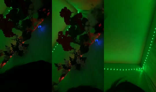 yam_live1's Stream - Jul 26, 2026, 7:41 AM