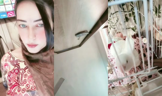 yasmeinahmed11's Stream - Aug 4, 2026, 5:55 AM