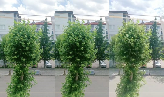 yazgul4101's Stream - Jul 14, 2026, 11:31 AM