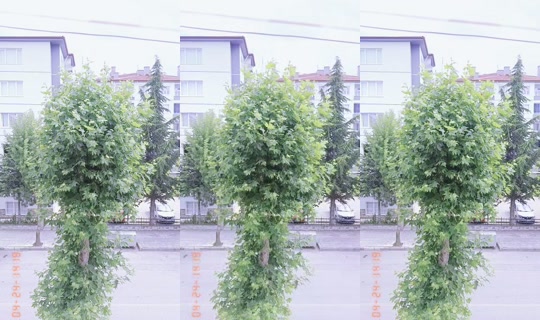 yazgul4101's Stream - Jul 14, 2026, 11:47 AM