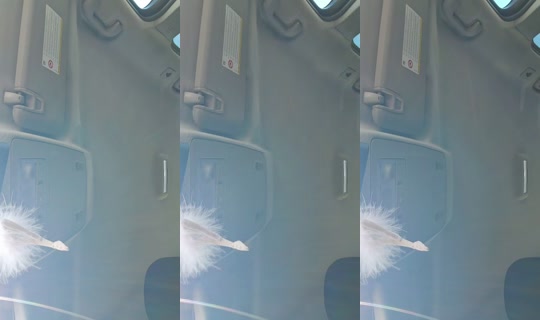 yuecel.elisabeth's Stream - Jul 29, 2026, 11:25 AM