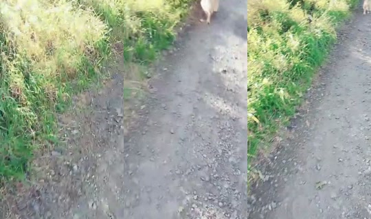 zakreconylook's Stream - Jul 24, 2026, 5:07 PM