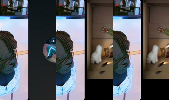 zeno8675's Stream - Aug 3, 2026, 9:40 PM