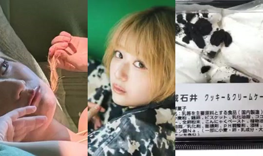 maikichi2309's Stream - Sep 30, 2026, 9:40 AM