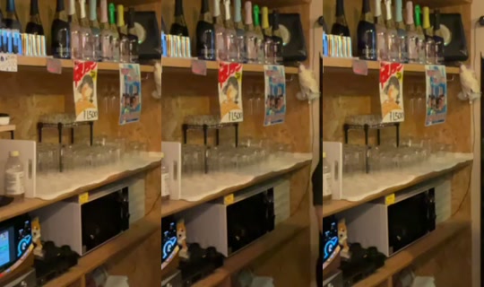 revol_ution00's Stream - Jul 24, 2026, 3:26 PM