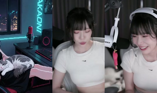 akaonikou1207's Stream - Sep 17, 2026, 1:22 PM