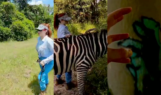 بث amouranth - 7 أغسطس 2026، 6:34 م