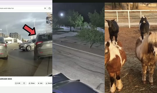 apunya's Stream - Jul 24, 2026, 12:40 AM