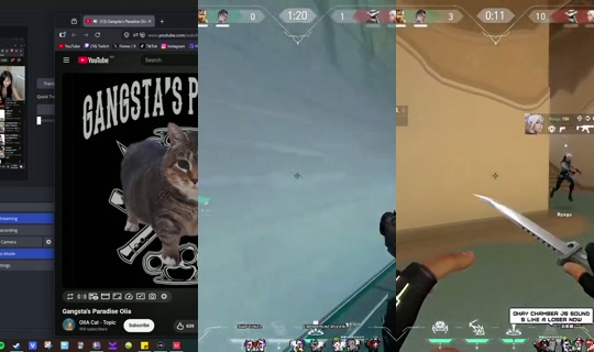 arii's Stream - Jul 20, 2026, 6:12 AM
