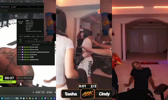 arky's Stream - Jul 28, 2026, 3:47 AM