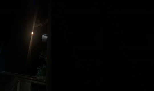 beastyriri's Stream - Sep 4, 2026, 3:58 AM