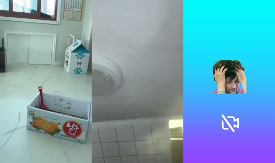 bongbong_irl's Stream - Aug 7, 2026, 9:06 AM