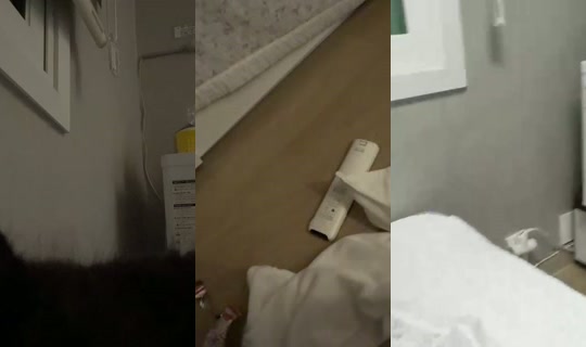 bongbong_irl's Stream - Aug 8, 2026, 5:52 PM