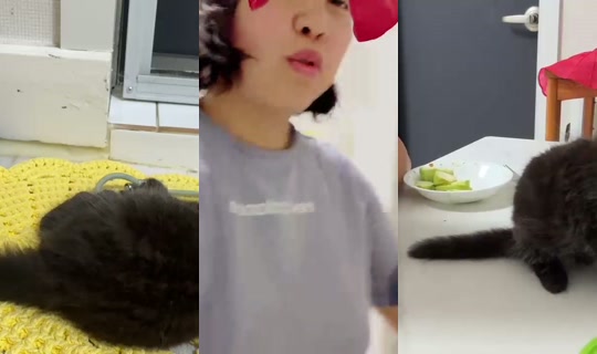 bongbong_irl's Stream - Aug 9, 2026, 2:03 AM