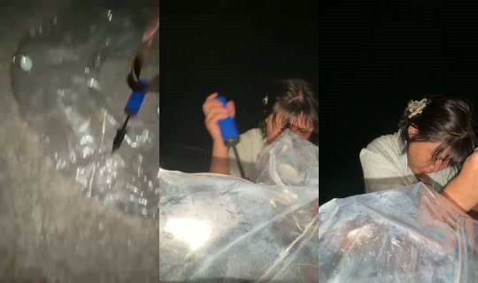 bongbong_irl's Stream - Aug 10, 2026, 7:18 PM