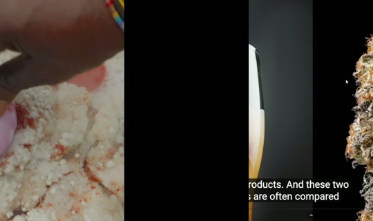 bonita's Stream - Sep 17, 2026, 11:38 AM