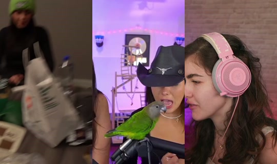 botezlive's Stream - Oct 26, 2026, 5:04 PM