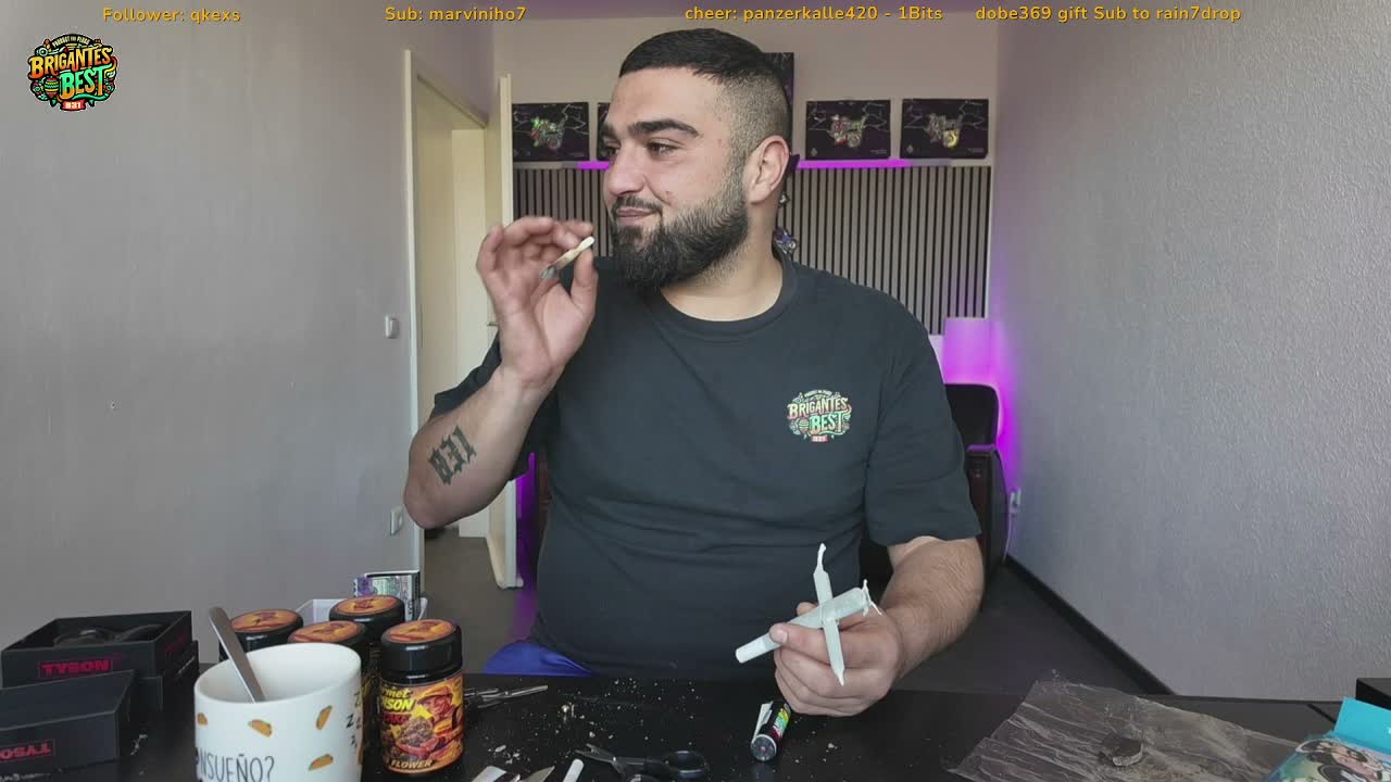 brigante_831