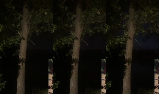 cartedevie's Stream - Jul 14, 2026, 1:53 AM